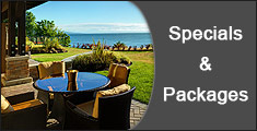 True Key Specials & Packages